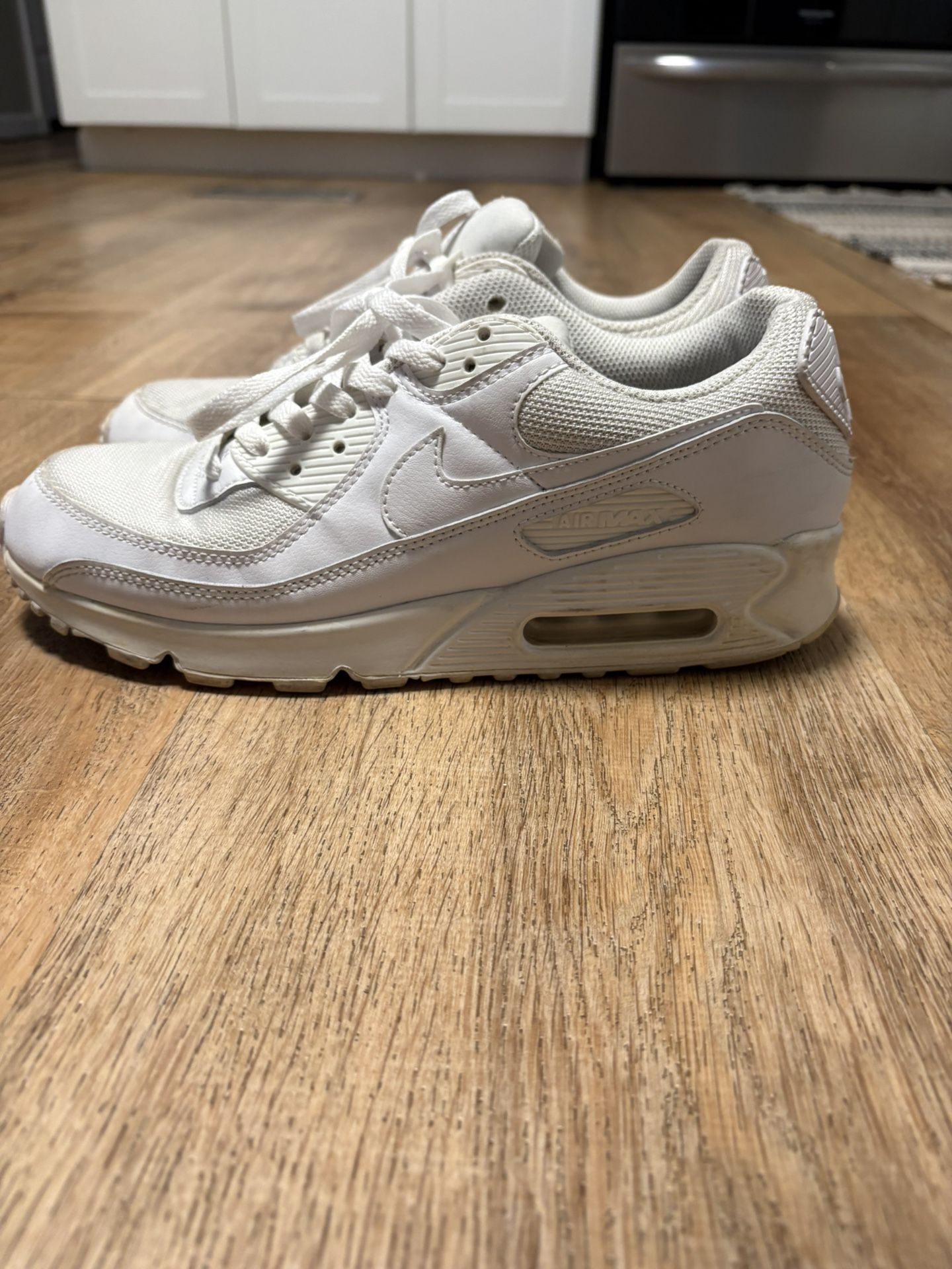 Nike Air Max / Size 9 US Men’s