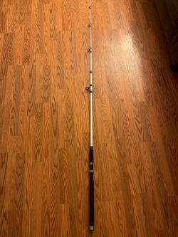 Fishing pole