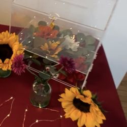 Clear Card Box