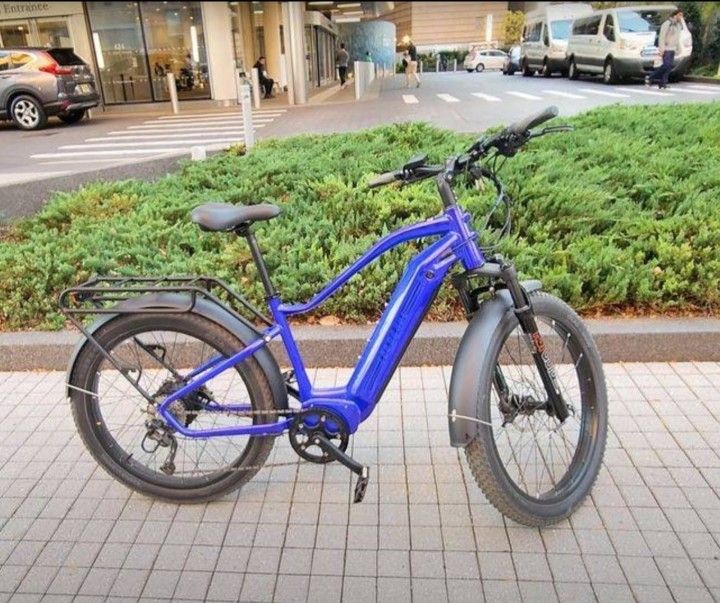 Biktrix Ebike