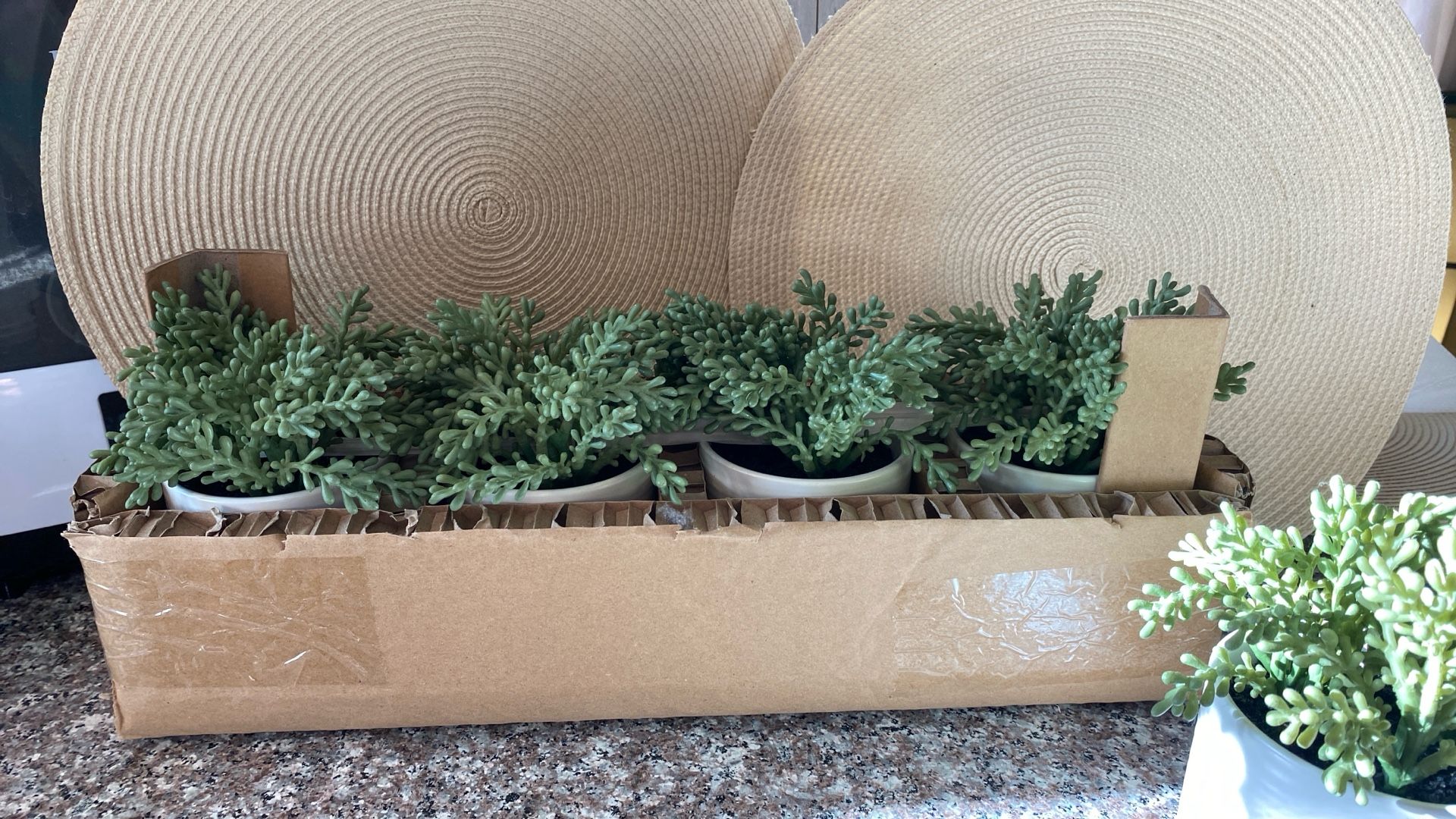 All These Faux Succulents Plants