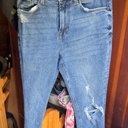 Kensie New Pants Size4/27 