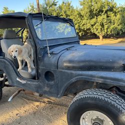 1955 Cj Jeep 