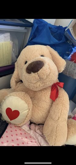 Mid Sized Teddy Bear