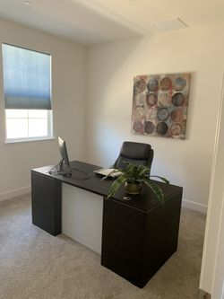 Professional Desk