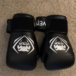Venum 14 Oz. Boxing gloves