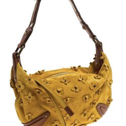 Louis Vuitton hobo bag 