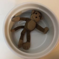 Mini Pocket Monkey
