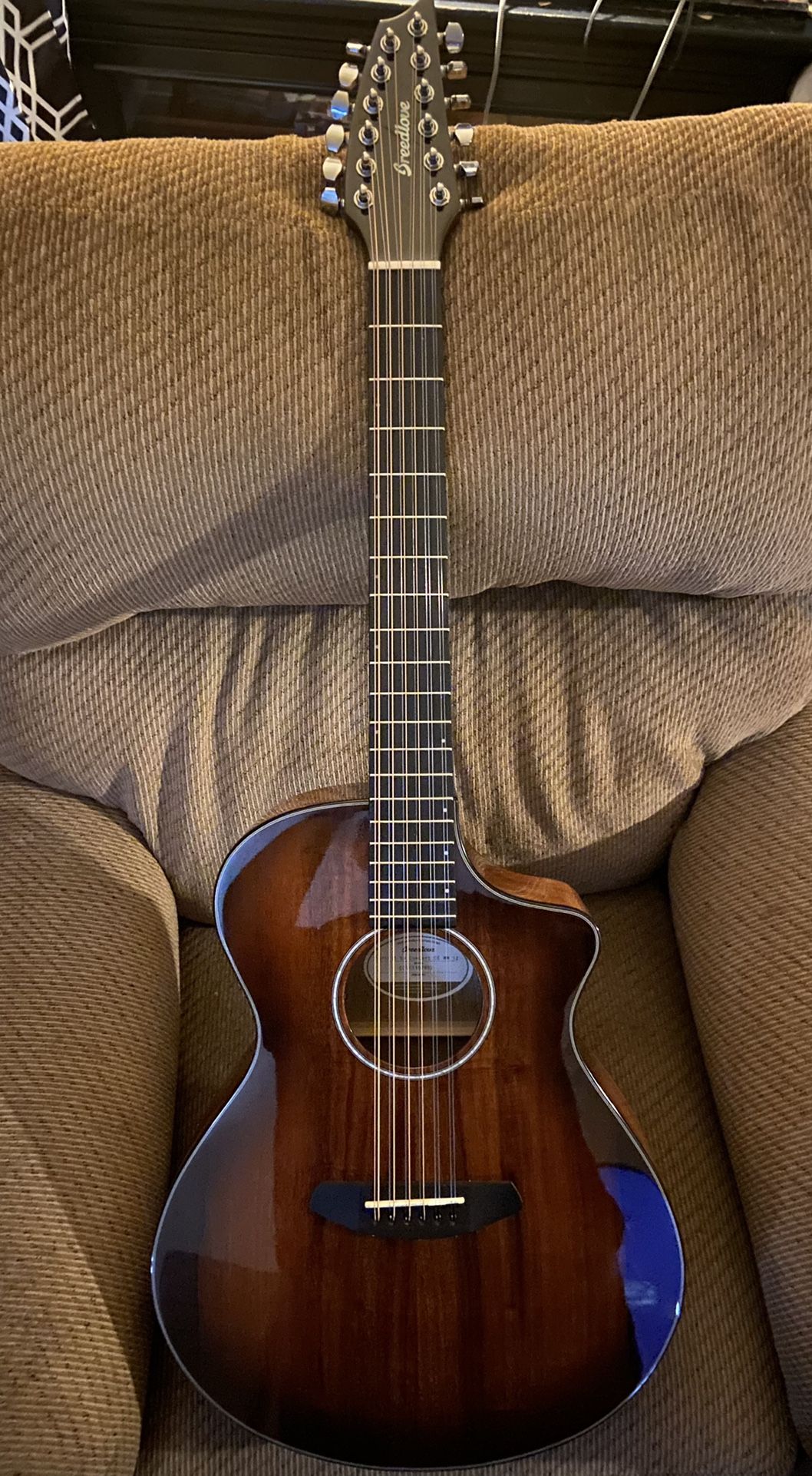 Breedlove Pursuit Concert 12 String Sunburst Guitar