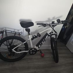 Mountain e bike 750w