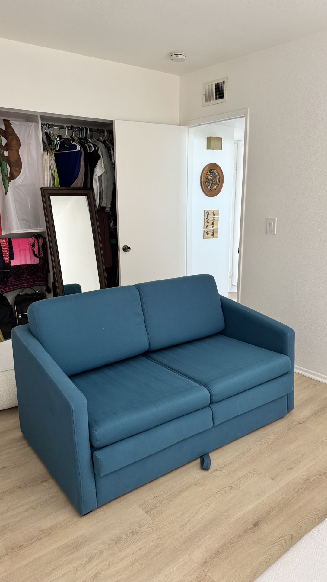 Pull Out Sofa Bed
