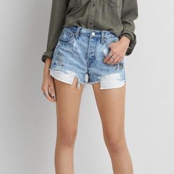 American Eagle Festival Shorts