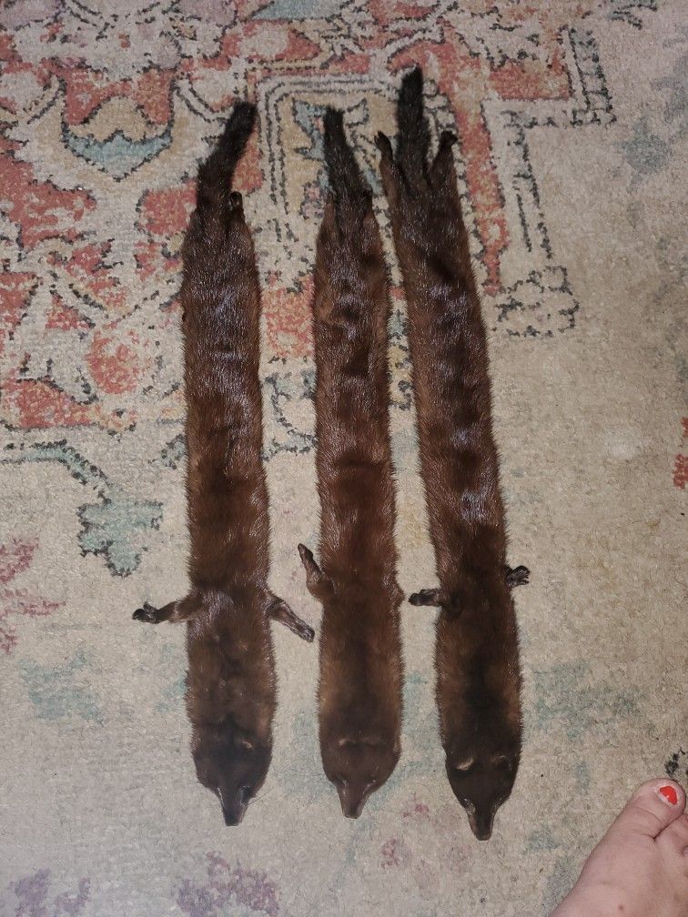 Mink Fur Pelts Set