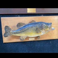 Vintage Fishing Trophy bass wall decor mount fishing
