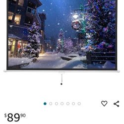 Projector Screen - 7 Foot