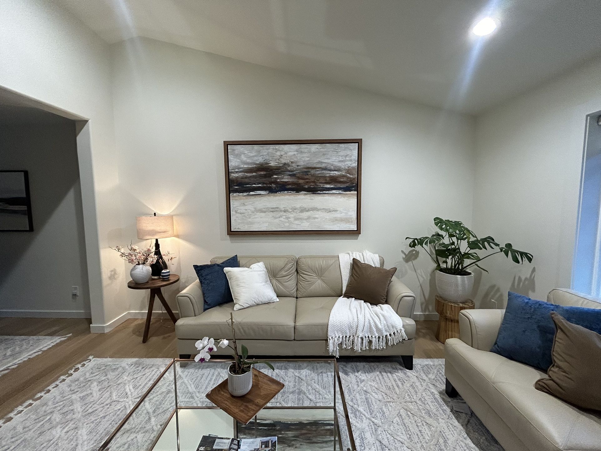 Modern rectangle Abstract Painting 64 x 44.