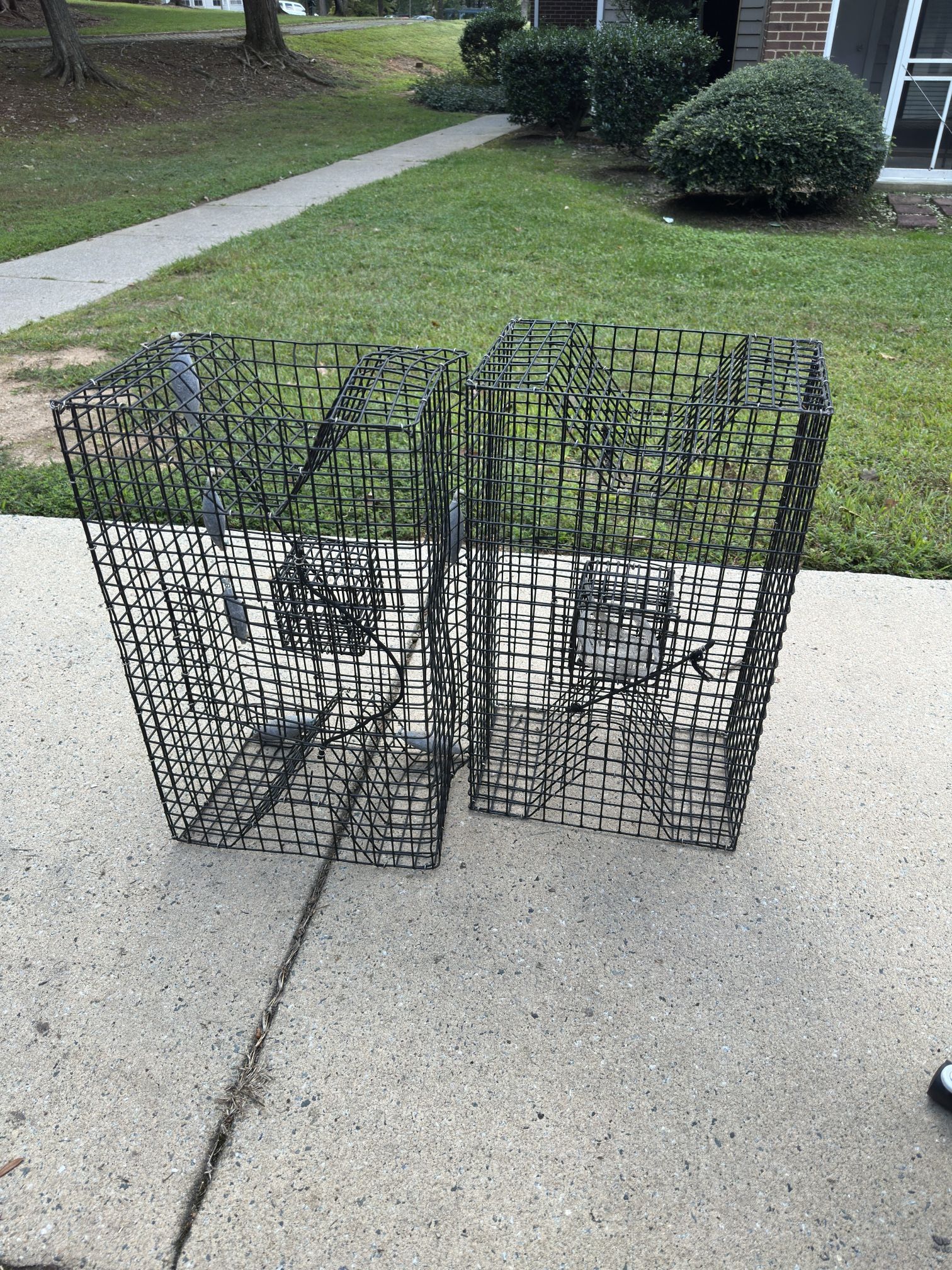 Fish Traps