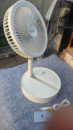 Portable fan