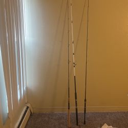 3 Fishing Rods  For Sale 