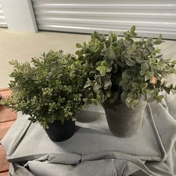 Fake plants