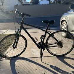 Giant Cypress DX, 14" 