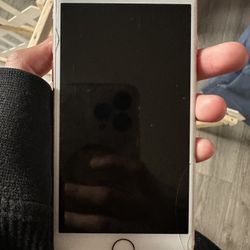 iPhone 7
