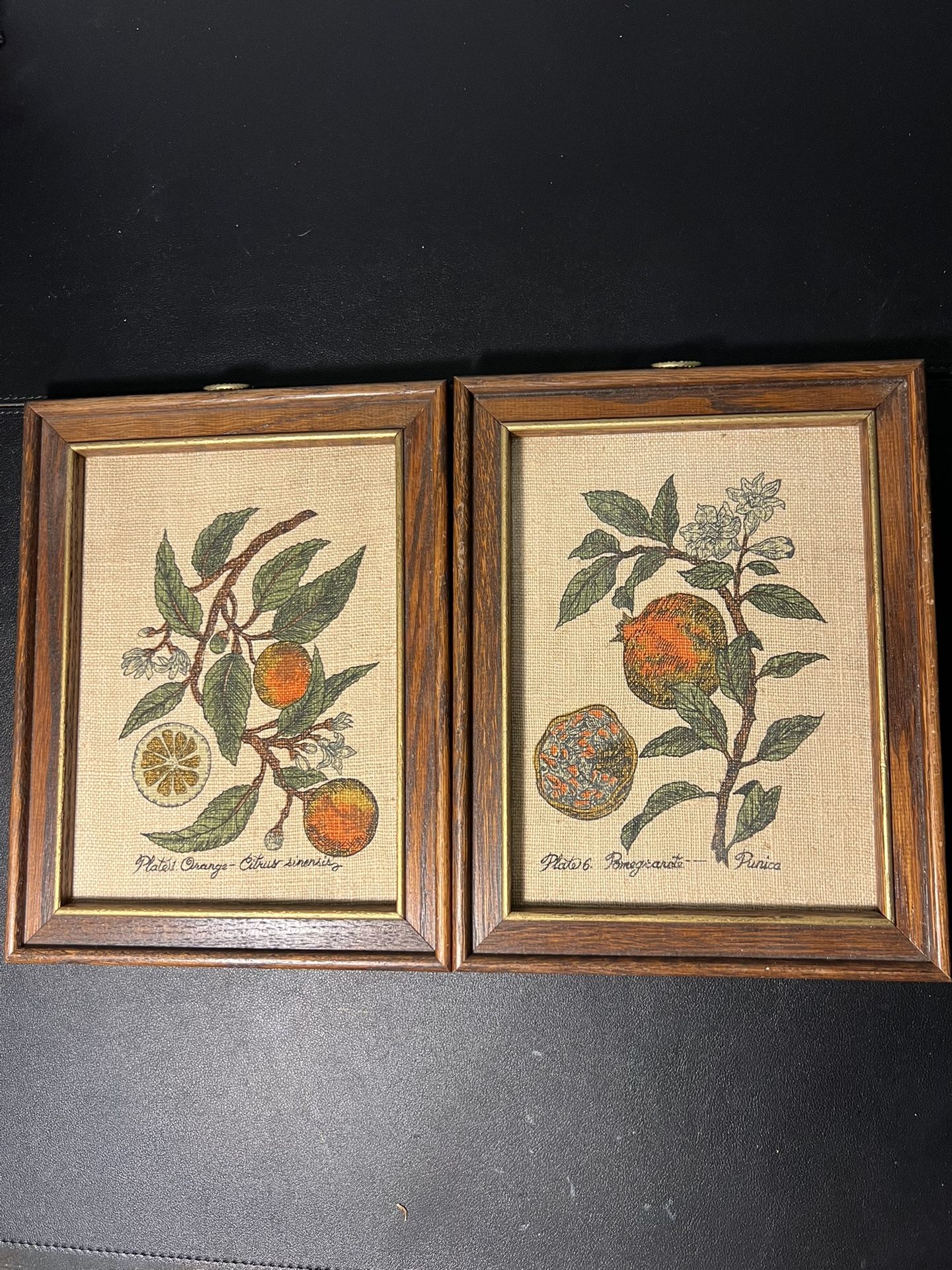Homco 1980s Set Of 2 Botanical Orange & Pomegranate Burlap Framed Art, 8x10”