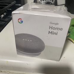New Google Home Mini
