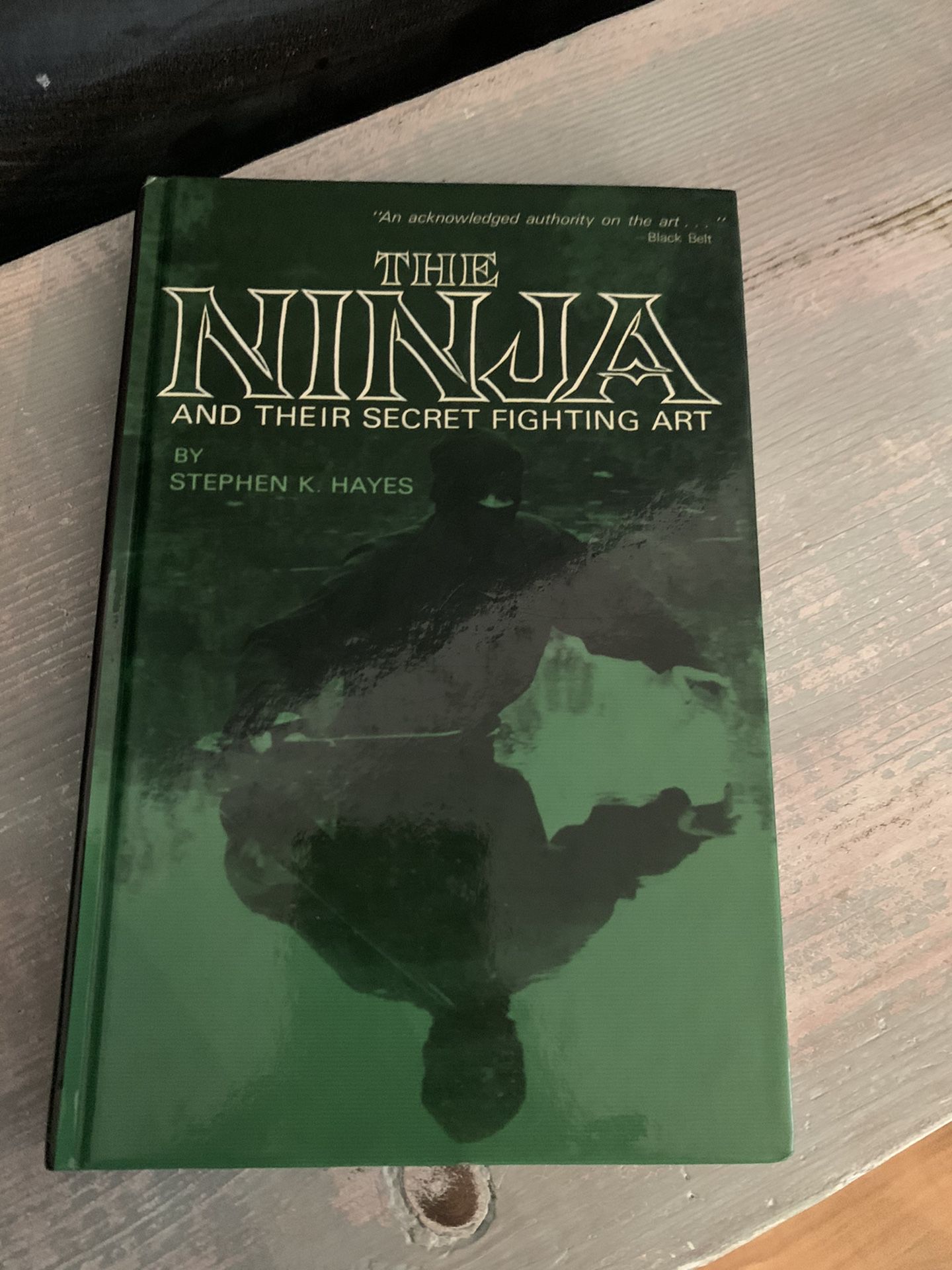 The Ninja Fighting Art Book