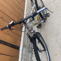 Moongoose Dxral Mountain Bike