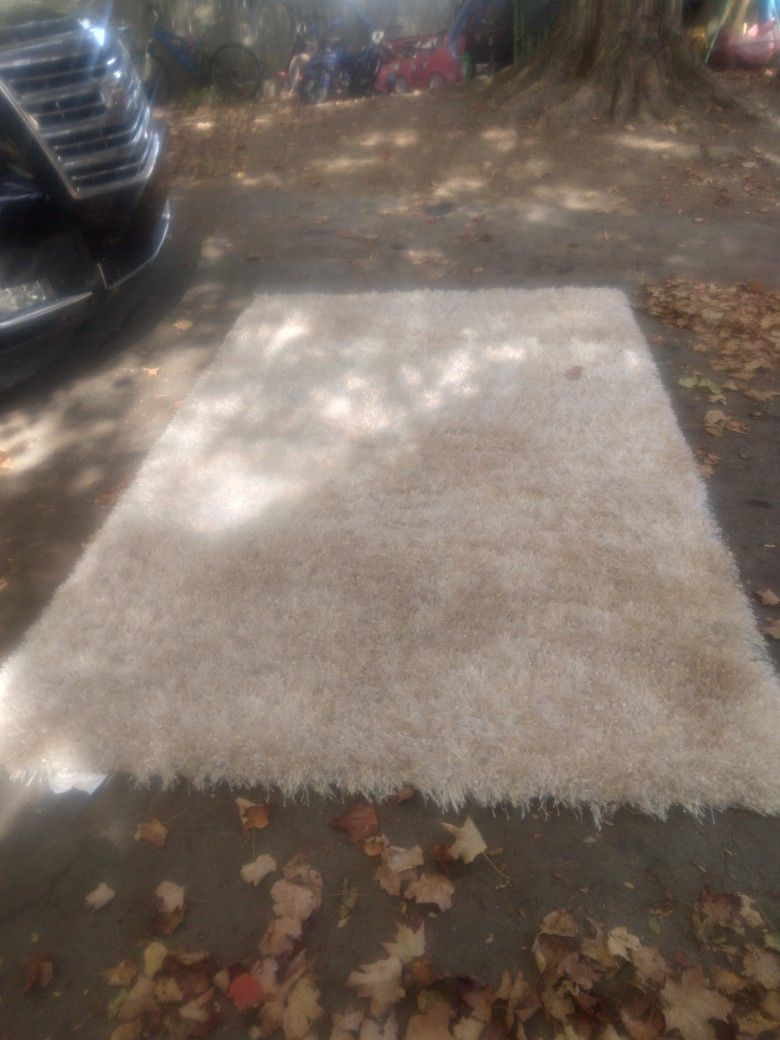Area Rug