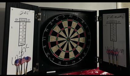 Professional dart board for sale