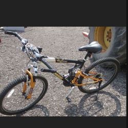 Great Mongoose Bike  $50.  GT $100