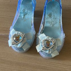Cindirella Shoes (size 9-10)