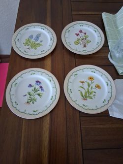 MCM George's Bird Victorian Graden 7 5/8