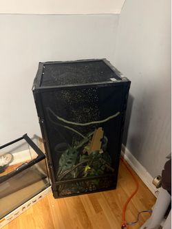Used Reptile terrarium (chameleon)