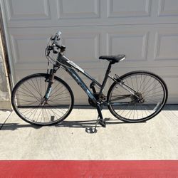 Giant Bike