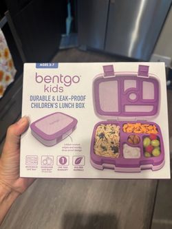 Bentgo lunch Box
