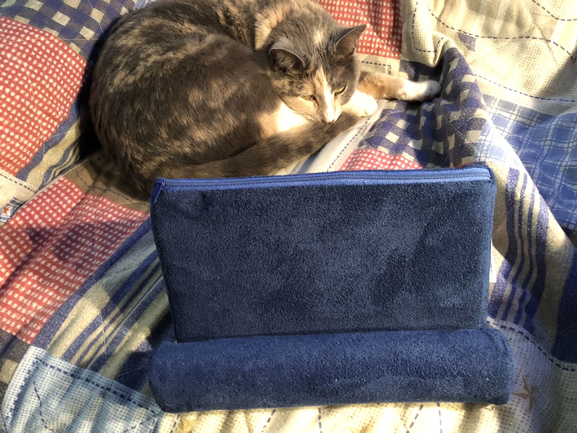 Portable Tablet And iPhone Pillow
