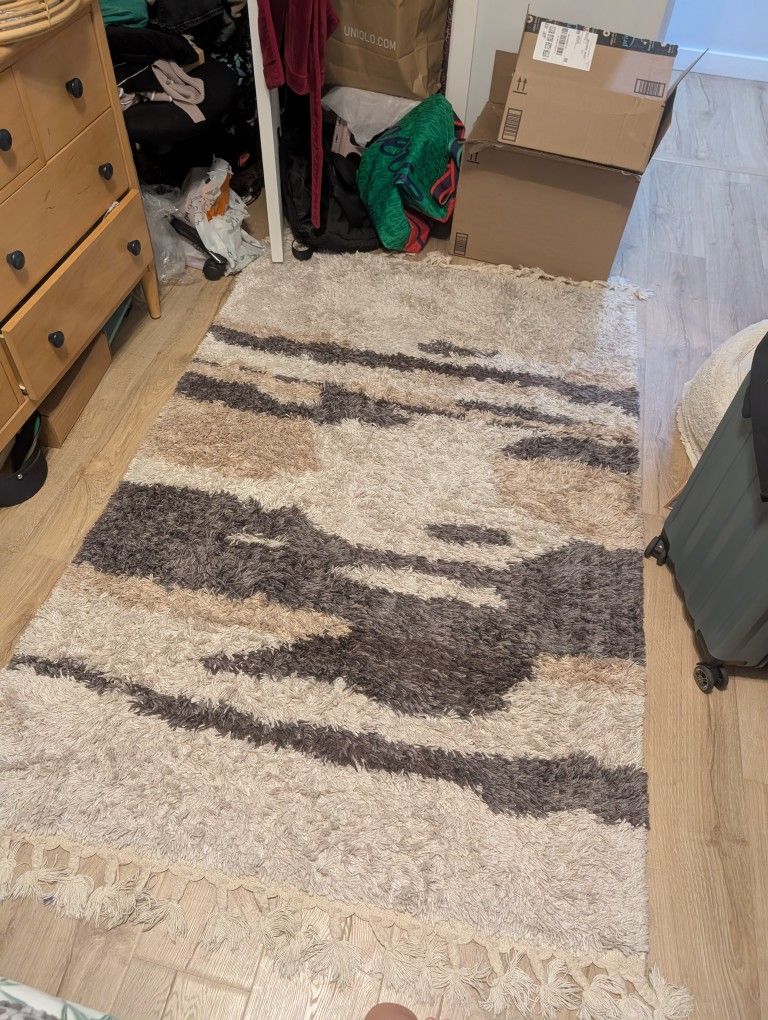 Cute Rug, Great Condition!!