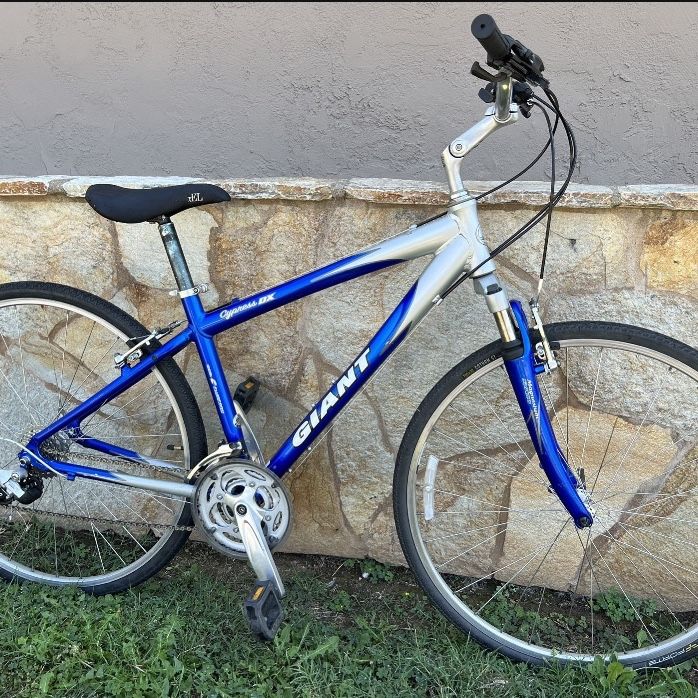 2009 hilly Giant Cypress Dx