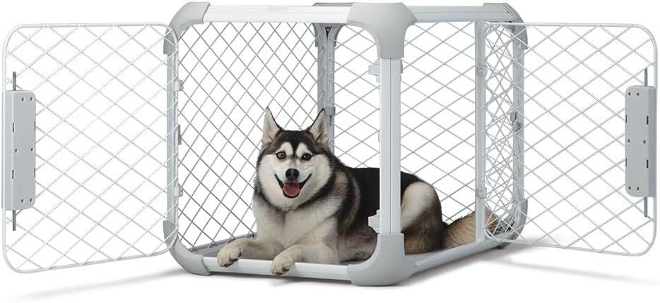 DIGGS Evolv Dog Crate - Slim, Durable Dog Kennel#3649RK1