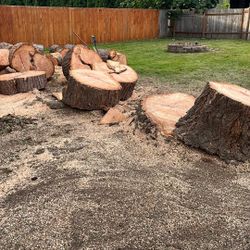 Firewood