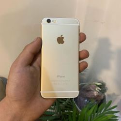 iPhone 6 Plus Unlocked With Warranty 