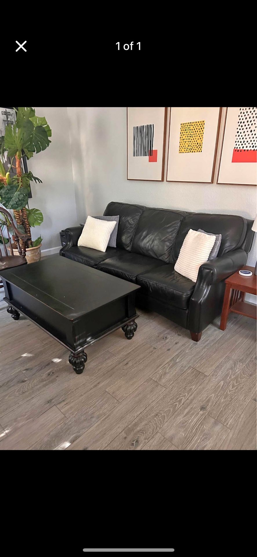 Couch In Lake Worth Beach