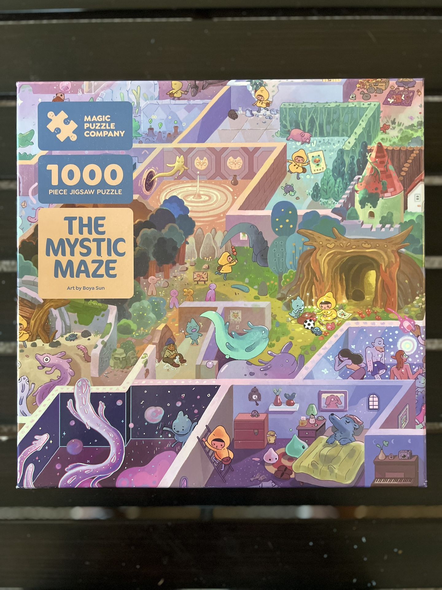 1000 Piece puzzle