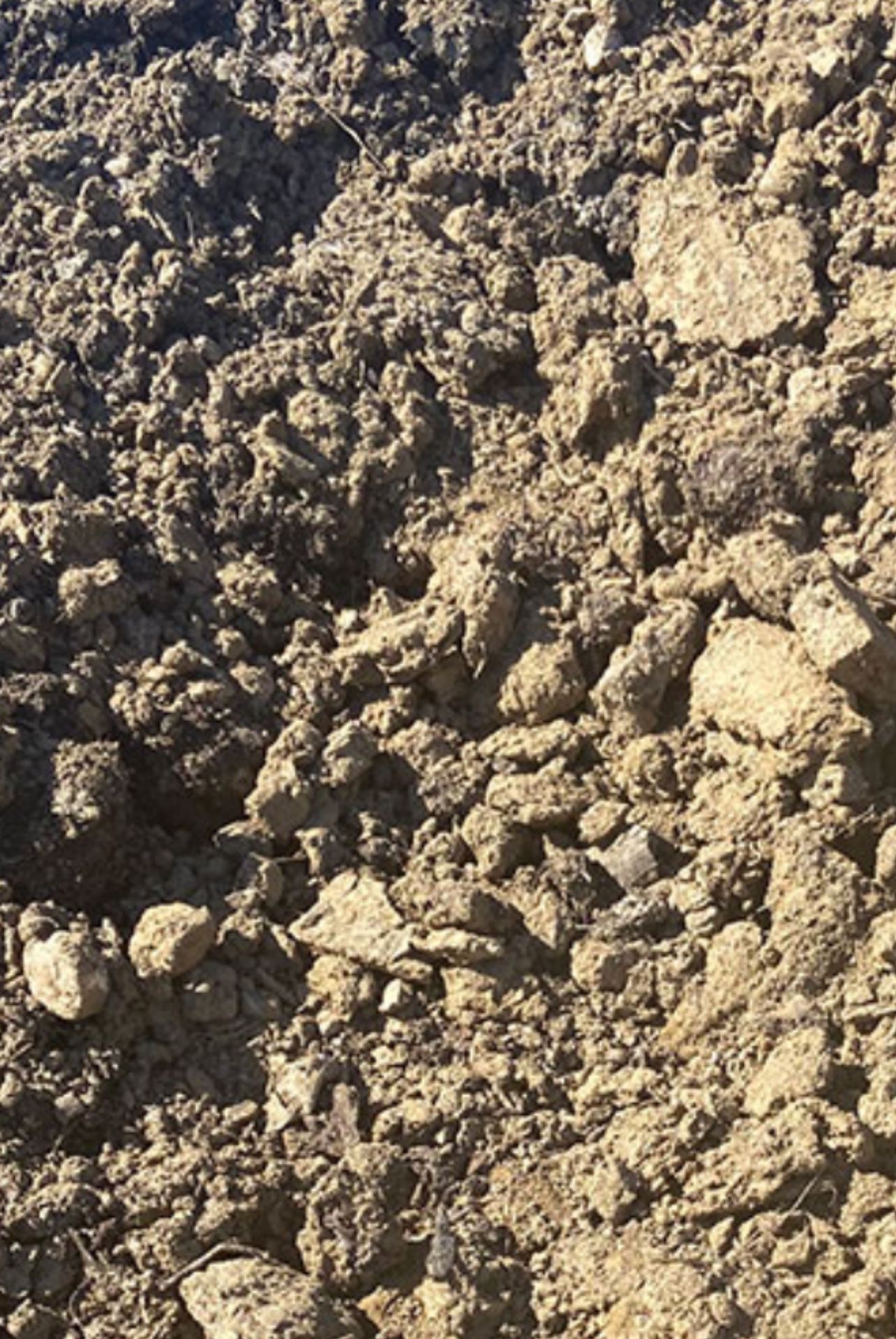 ISO Dirt