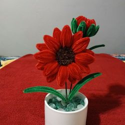 Pali..vellas Misteriosas Flores Eternas