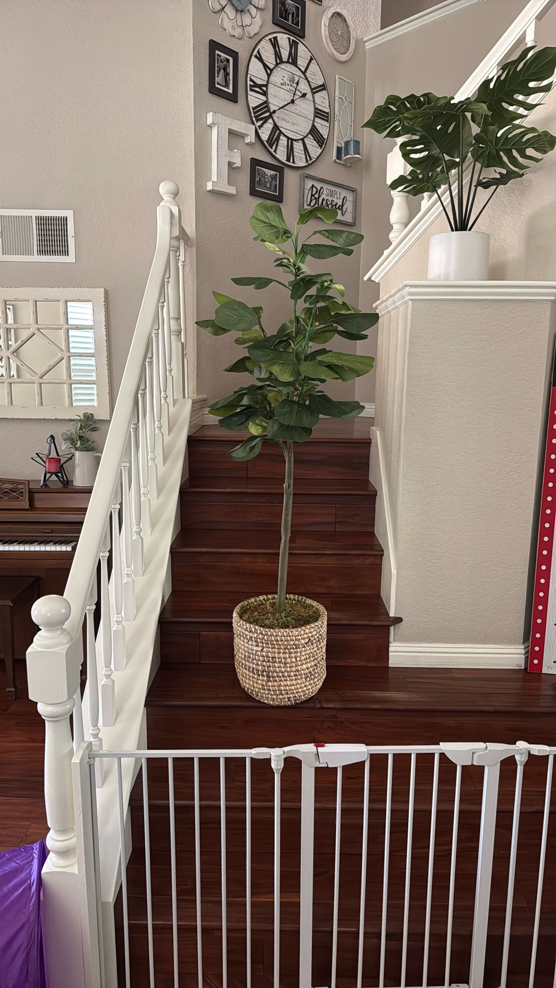 Plant