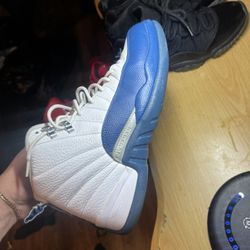 French Blue Jordan 12
